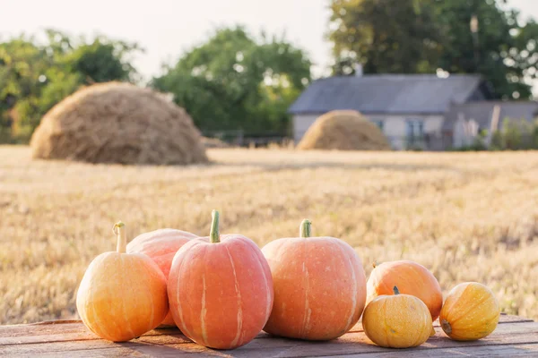 Pumpkins on wooden table outdoor — Stock Photo, Image