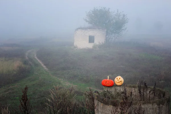 Halloween pumpkin outdoor — Stock Photo, Image