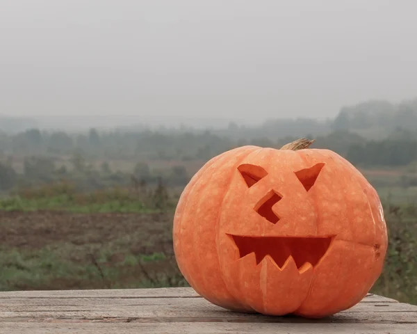 Halloween pumpkin odkryty — Zdjęcie stockowe