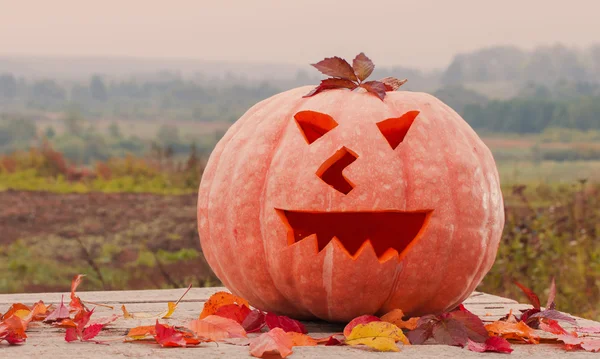 Halloween pumpkin odkryty — Zdjęcie stockowe