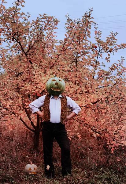 Halloween men with pumpkin head — Stock Photo, Image