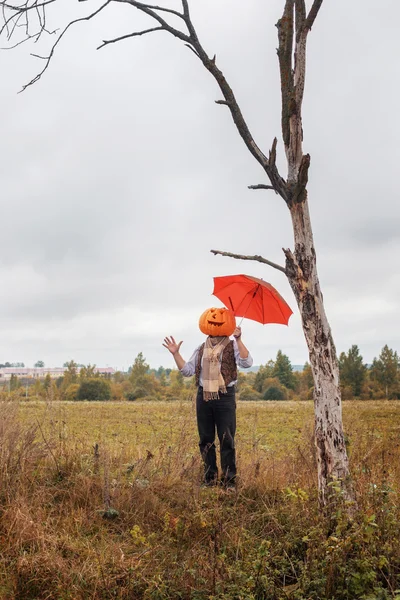 Halloween men with pumpkin head — Stock Photo, Image