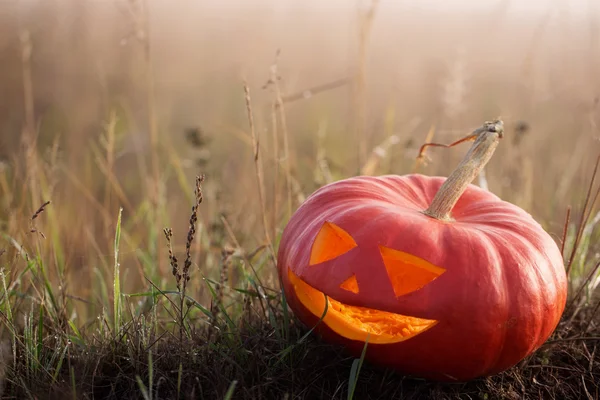 Хэллоуин тыква на открытом воздухе — стоковое фото
