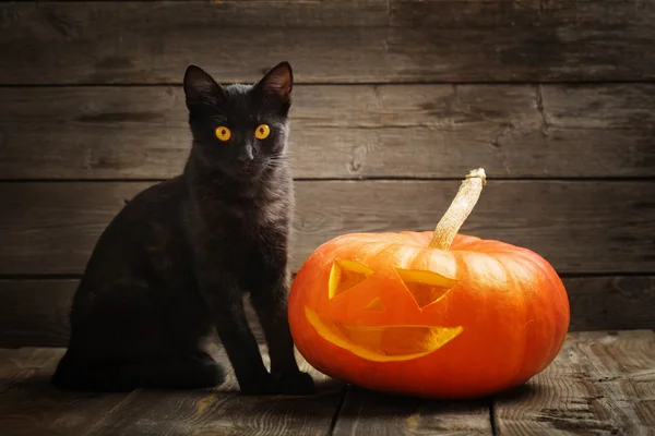 Halloween abóbora e gato preto no fundo de madeira — Fotografia de Stock