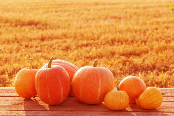 Pumpkins on wooden table outdoor — Stock Photo, Image