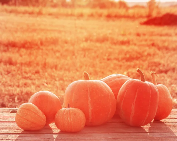 Pumpkins on wooden table outdoor — Stock Photo, Image