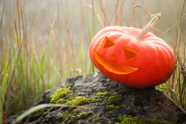 Halloween pumpkin odkryty — Zdjęcie stockowe