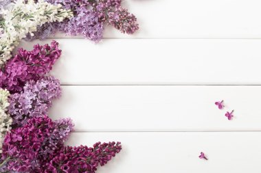 Ahşap arka plandaki güzel leylak