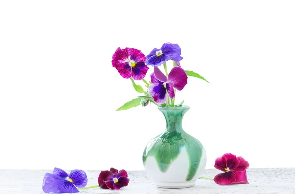 Hermosas flores violetas sobre fondo blanco —  Fotos de Stock