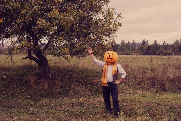 Hommes Halloween avec tête de citrouille — Photo