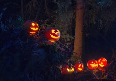 Halloween pumpkins ormandaki