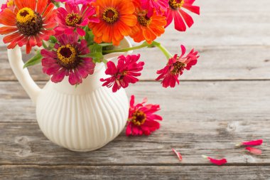 Buket zinnia çiçek