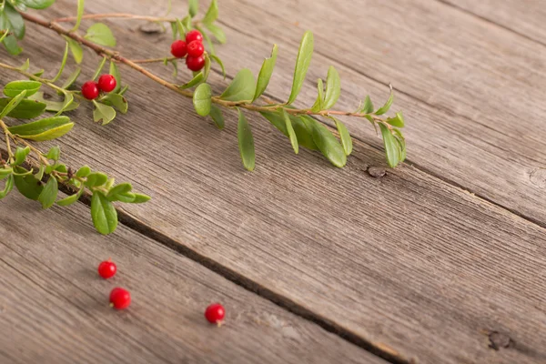 Cowberry on wooden background — Stock Photo, Image