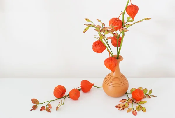 Ainda vida com physalis vermelho — Fotografia de Stock