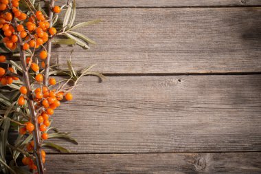 Deniz cehri meyveleri ahşap zemin