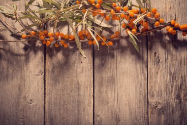 Deniz cehri meyveleri ahşap zemin