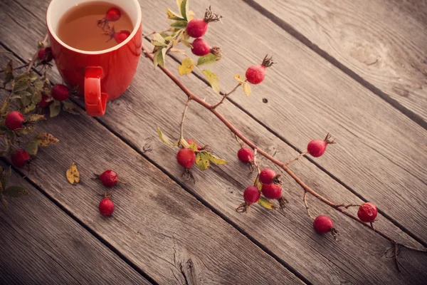 Taza de té con rosas de la cadera, sobre mesa de madera — Foto de Stock