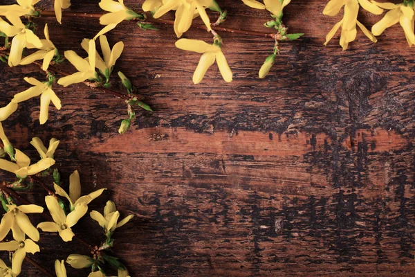 Vår gula blommor på gamla trä bakgrund — Stockfoto