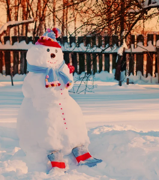 Pupazzi di neve felici nel parco invernale — Foto Stock