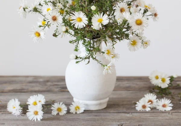 Flores blancas en jarrón — Foto de Stock