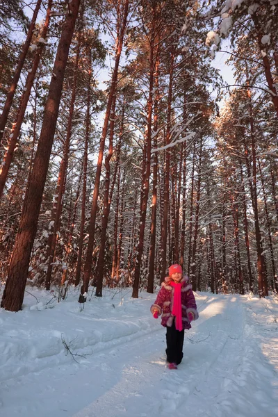Дівчина в зимовому лісі — стокове фото