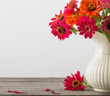 Buket zinnia çiçek
