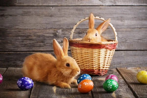 Lapins avec oeufs de Pâques sur fond en bois — Photo