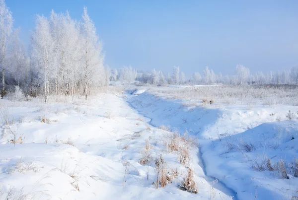 Schöne Winter sonnige Landschaft — Stockfoto