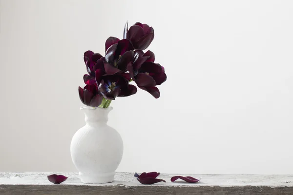 Tulipanes oscuros en jarrón — Foto de Stock