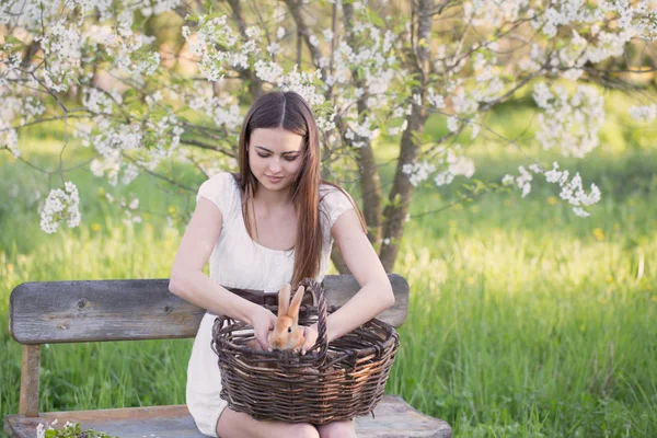 Krásná mladá žena s králíky v zahradě — Stock fotografie