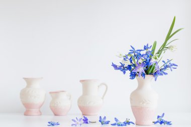 Bahar mavi çiçekli natürmort