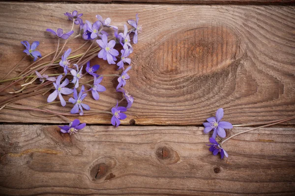 Blaue Blumen auf Holzgrund — Stockfoto