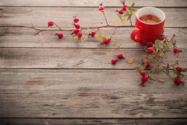 木製のテーブルに、ヒップのバラでお茶のカップ — ストック写真