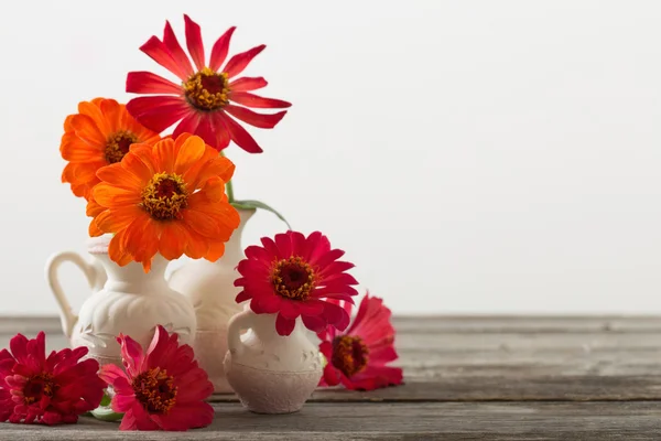 Buchet de flori de zinnia — Fotografie, imagine de stoc