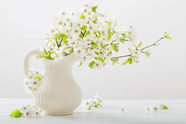 Fleurs de cerisier sur fond blanc — Photo