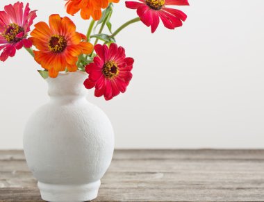 Buket zinnia çiçek