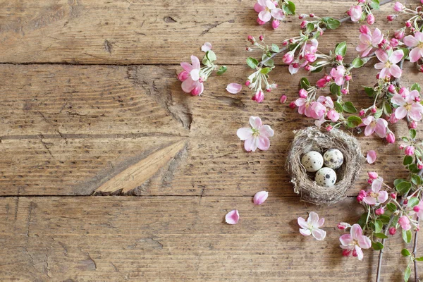 Ovo no ninho com flores rosa — Fotografia de Stock