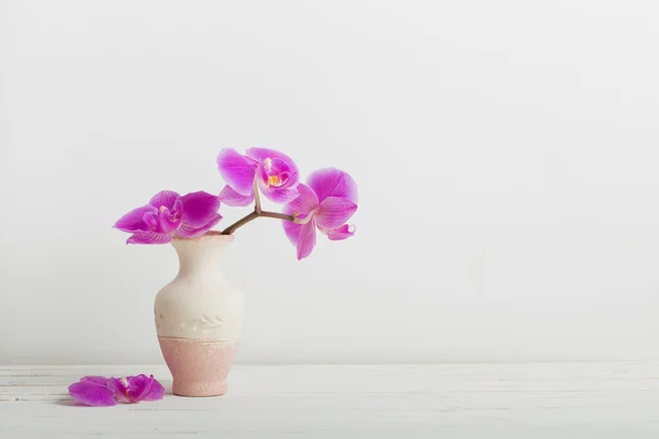 Ahşap bir masa üzerinde vazoda orkide çiçekler — Stok fotoğraf
