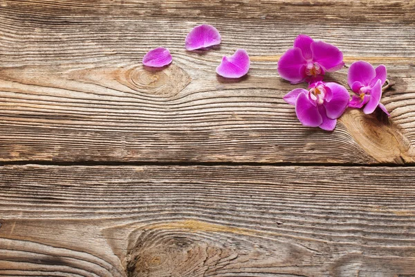 Flores de orquídea rosa sobre un fondo de madera —  Fotos de Stock