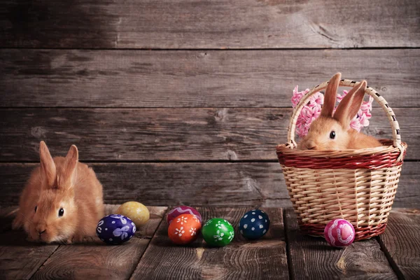 Rabbits with Easter eggs on wooden background — Stock Photo, Image