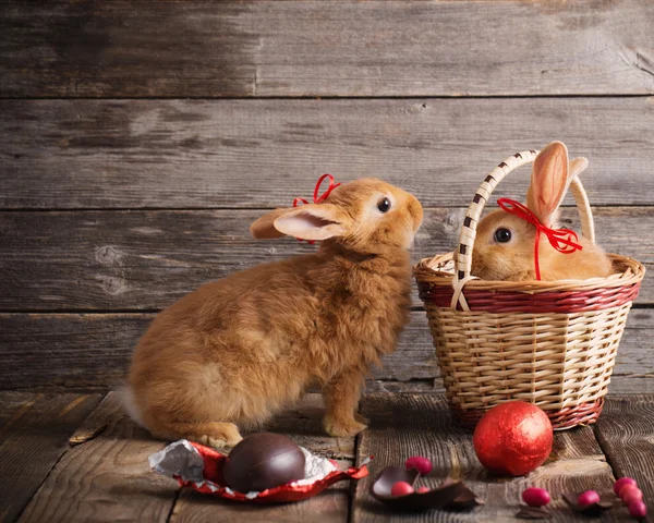 兔木制背景上的巧克力蛋 — 图库照片