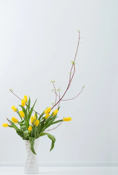 Tulpaner på vit bakgrund — Stockfoto