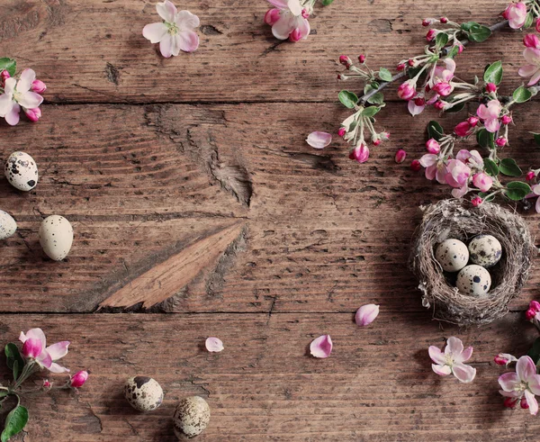 Ei im Nest mit rosa Blüten — Stockfoto