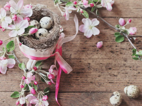Uovo in nido con fiori rosa — Foto Stock