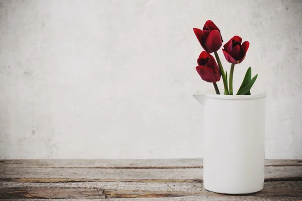 Flores sobre fondo blanco —  Fotos de Stock