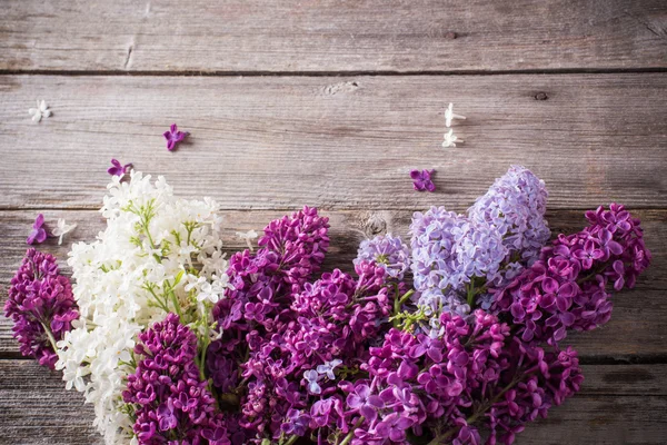 The beautiful lilac on a wooden background — Stock Photo, Image