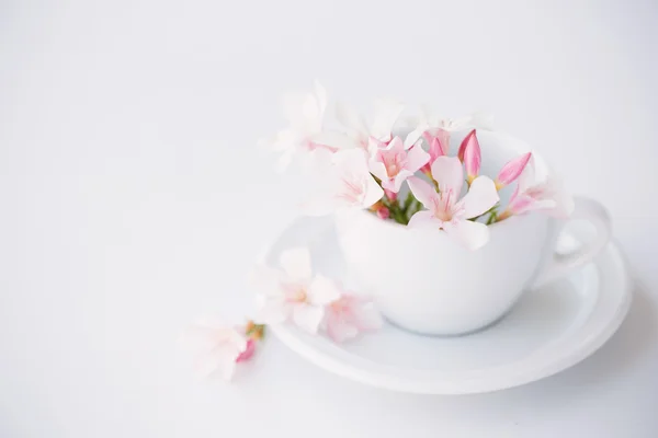 Stillleben mit Blumen in weißer Tasse — Stockfoto