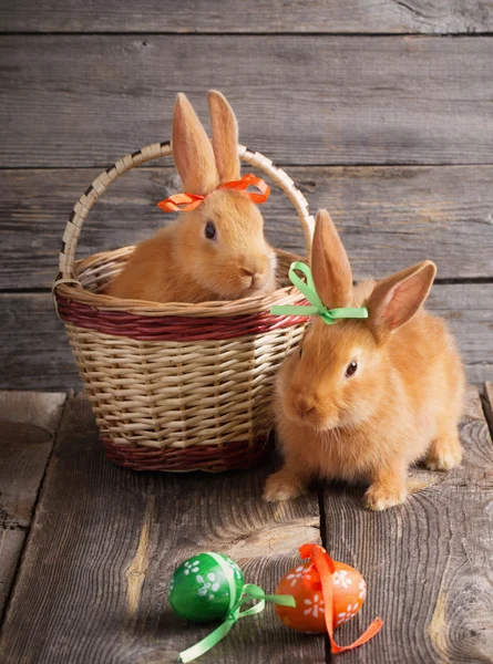 Lapins avec oeufs de Pâques sur fond en bois — Photo