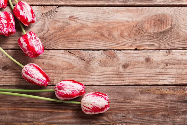 Krásné tulipány na dřevěném pozadí — Stock fotografie