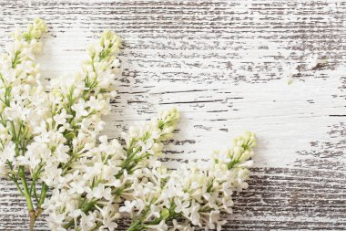 Ahşap arka plandaki güzel leylak